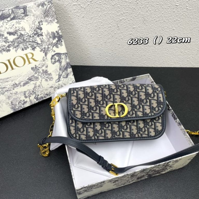 Dior high quality ladies handbag shoulder bag with vintage gold finish metal CD chain-3